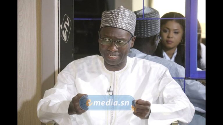 «Il y aura une information judiciaire contre les pillages» Ismaila Madior Fall