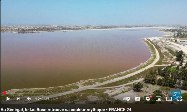 Au Sénégal, le lac Rose retrouve sa couleur mythique • FRANCE 24