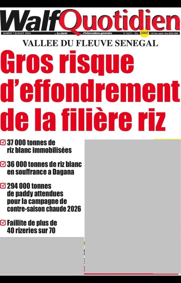 WhatsApp Image 2026-07-07 at 18.25.44